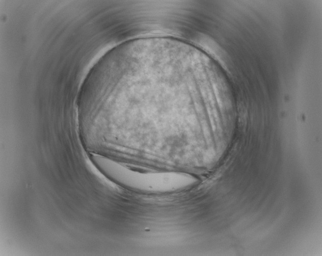 X0000075831476200610151507