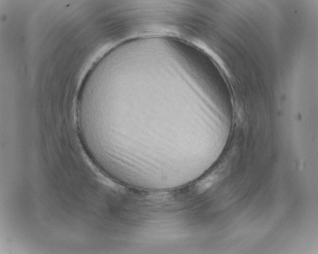 X0000075831477200610151507