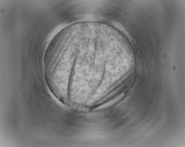 X0000075831479200610151507