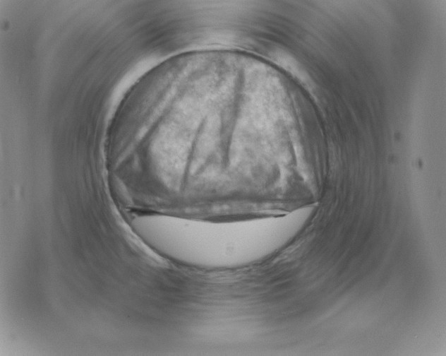 X0000075831480200610151507