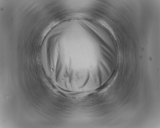 X0000075831481200610151507