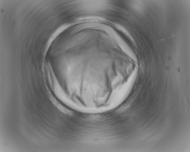 X0000075831482200610151507