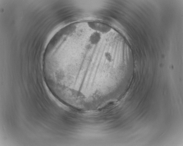 X0000075831483200610151507