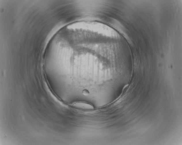 X0000075831484200610151507