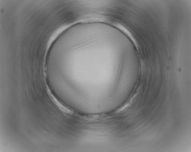 X0000075831485200610151507