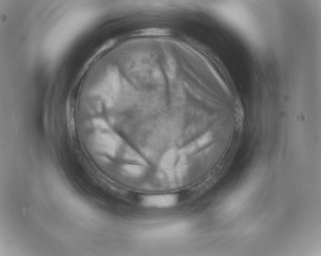 X0000075831487200610151507