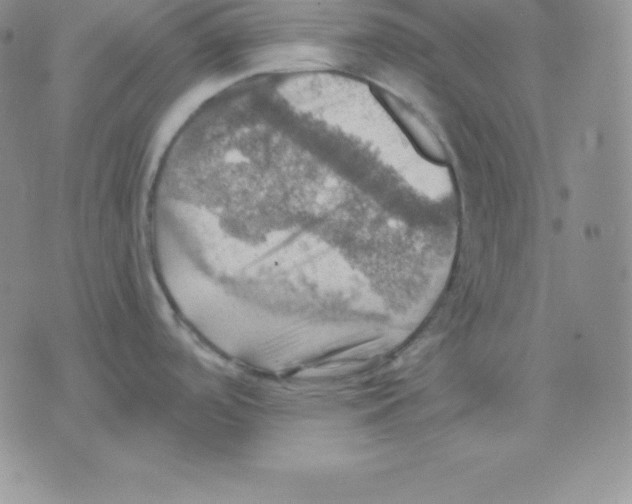 X0000075831488200610151507