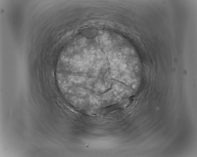 X0000075831489200610151506