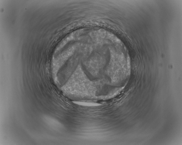 X0000075831490200610151507