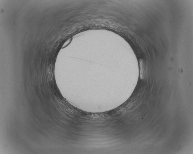 X0000075831491200610151507