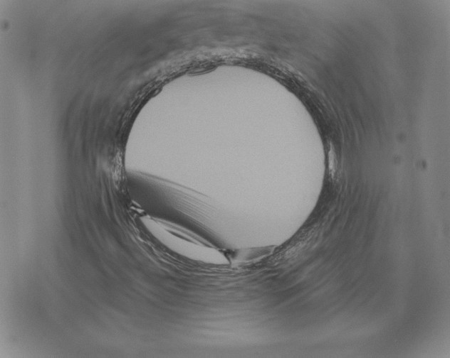 X0000075831492200610151507