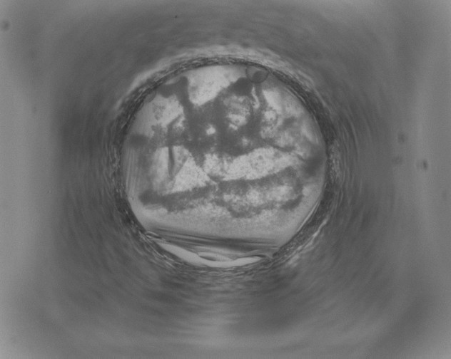 X0000075831494200610151507