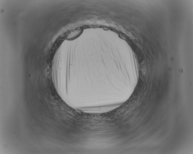 X0000075831495200610151507