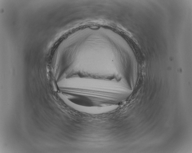 X0000075831496200610151507