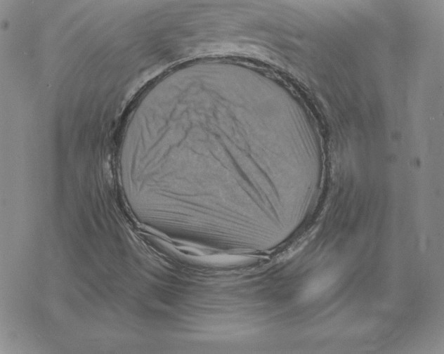 X0000075831497200610151507