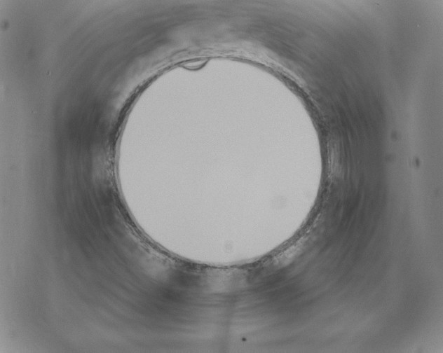 X0000075831498200610151507