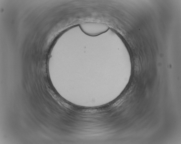 X0000075831499200610151507