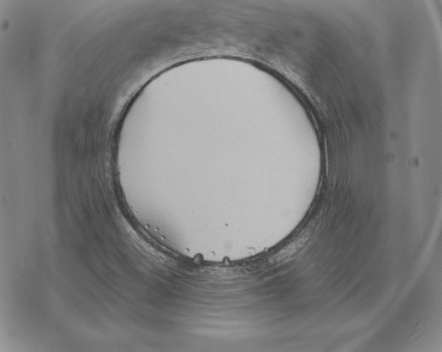 X0000075831500200610151507