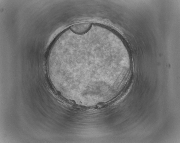 X0000075831501200610151507