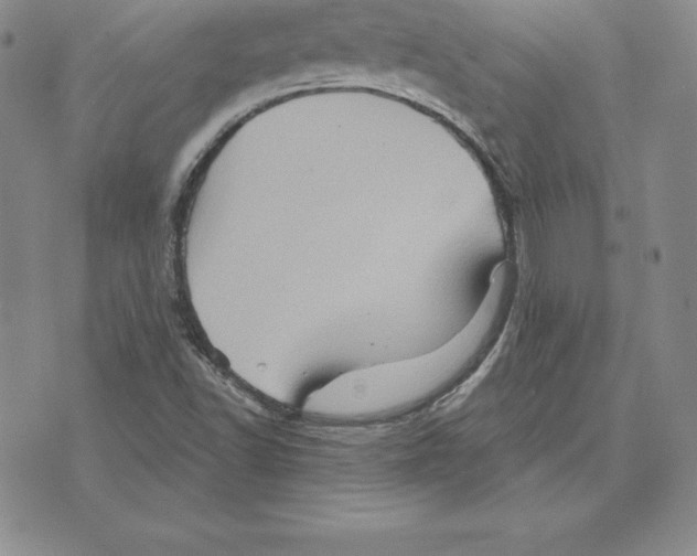 X0000075831502200610151507