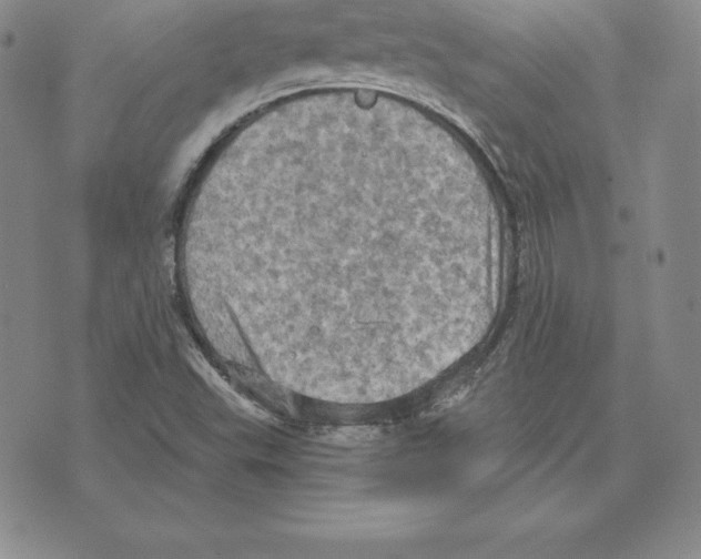 X0000075831503200610151507