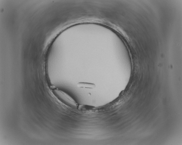 X0000075831504200610151507