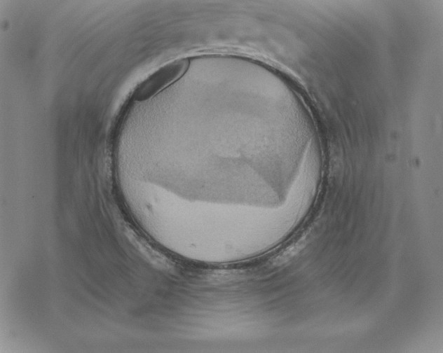 X0000075831506200610151507