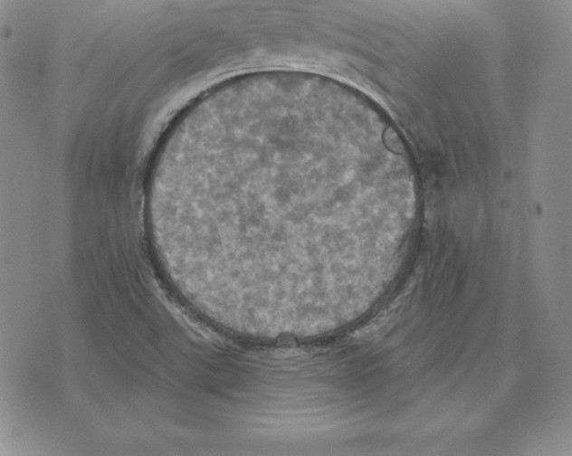 X0000075831507200610151507