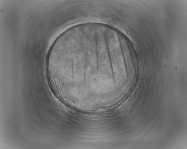 X0000075831508200610151507