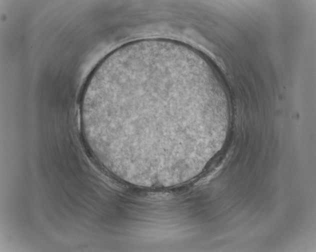 X0000075831509200610151507