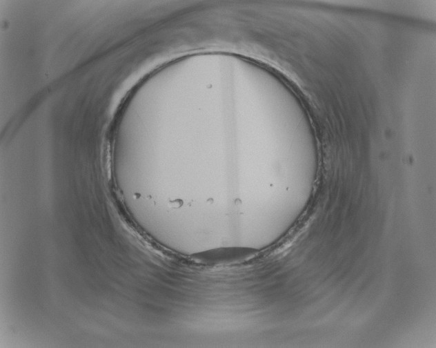 X0000075831510200610151507