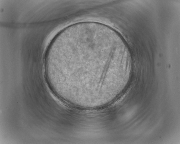 X0000075831511200610151507