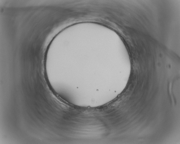 X0000075831512200610151507