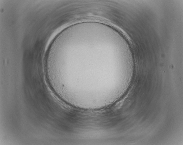 X0000075831514200610151507