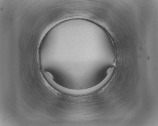 X0000075831516200610151507