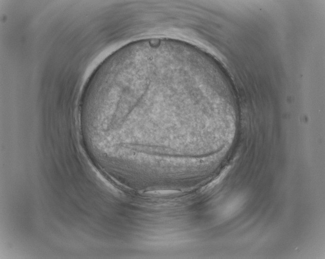 X0000075831517200610151507