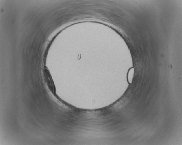 X0000075831518200610151507