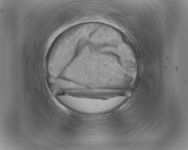 X0000075831519200610151507