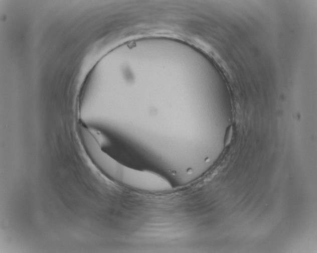 X0000075831520200610151507