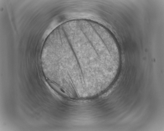 X0000075831521200610151507