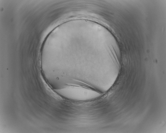 X0000075831522200610151507