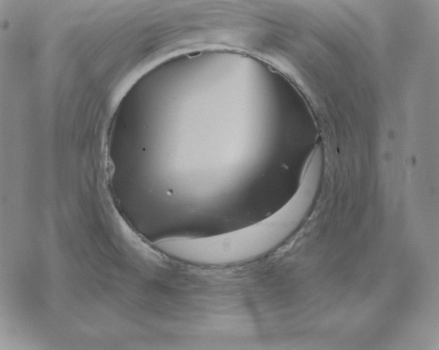 X0000075831524200610151507