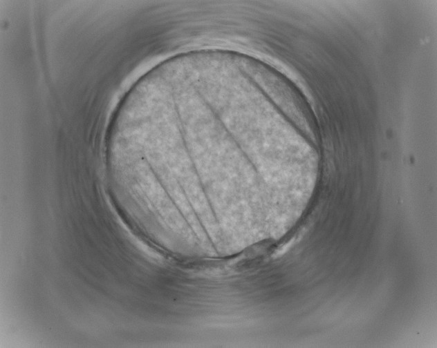 X0000075831525200610151507