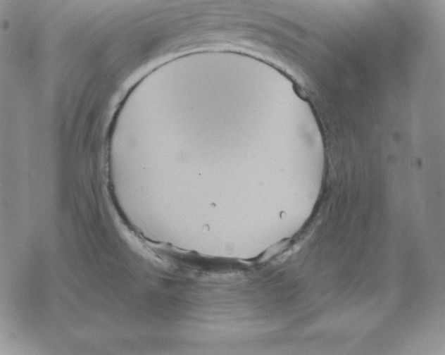 X0000075831526200610151507