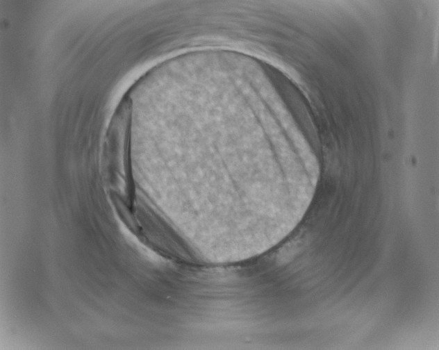 X0000075831527200610151507