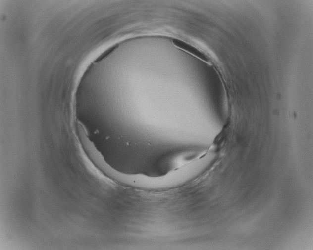 X0000075831528200610151507