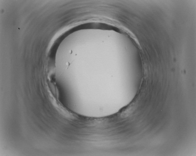 X0000075831530200610151507