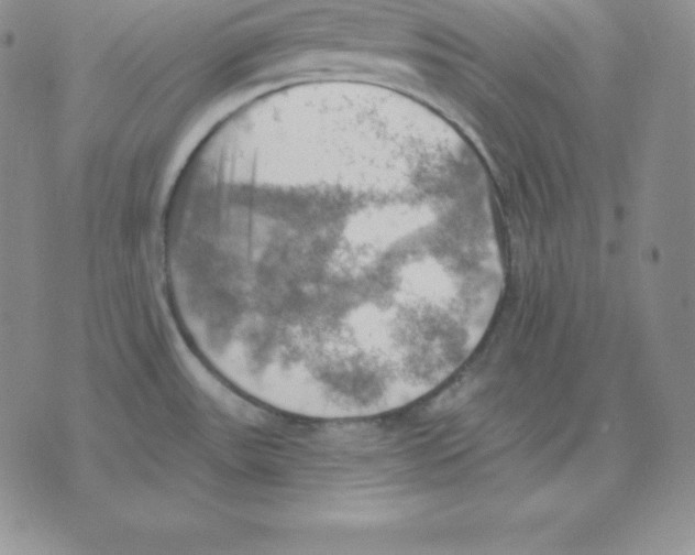 X0000075831531200610151507