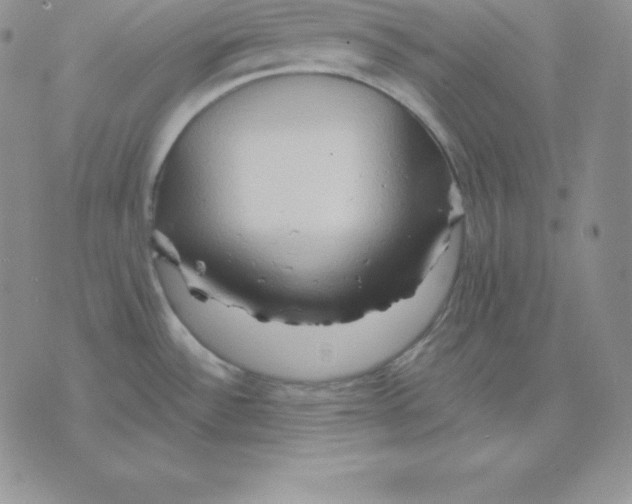 X0000075831532200610151507