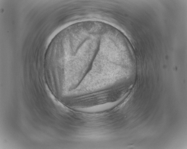 X0000075831534200610151507